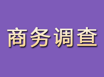 麻栗坡商务调查